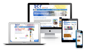 Diseño web DEFMediterraneo.com