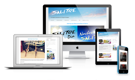Diseño página web Salitre