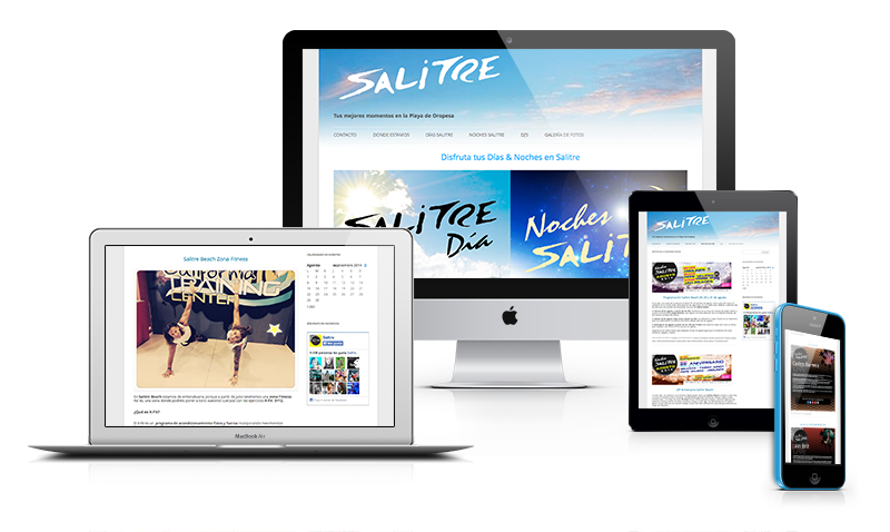 Diseño página web Salitre